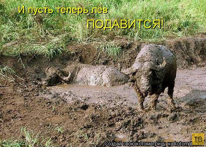 ������ ����������� ������, ����� 16 (50 ����)