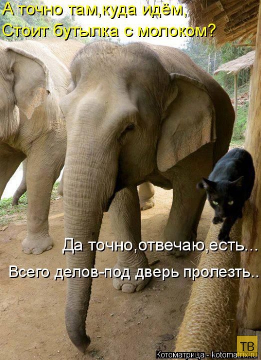 ������ ����������� ������, ����� 16 (50 ����)