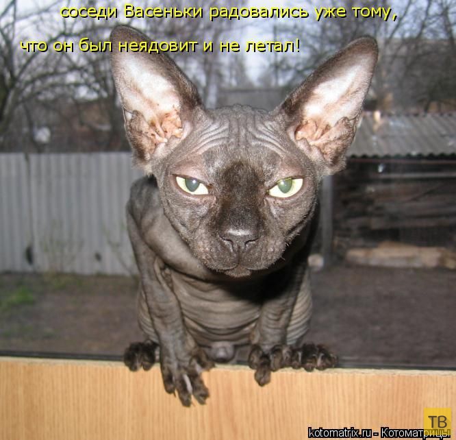 ������ ����������� ������, ����� 16 (50 ����)