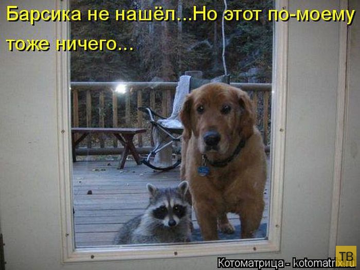 ������ ����������� ������, ����� 16 (50 ����)