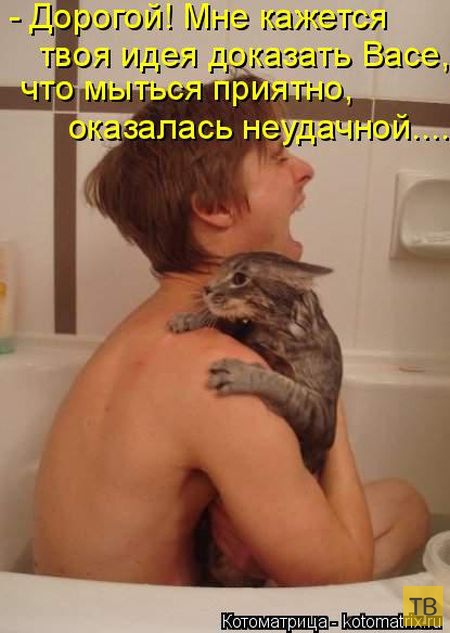 ������ ����������� ������, ����� 16 (50 ����)