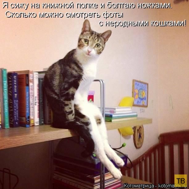 ������ ����������� ������, ����� 16 (50 ����)