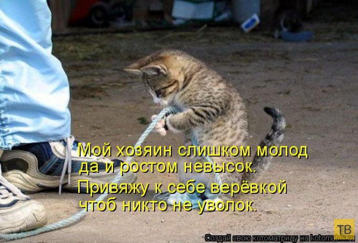 ������ ����������� ������, ����� 16 (50 ����)