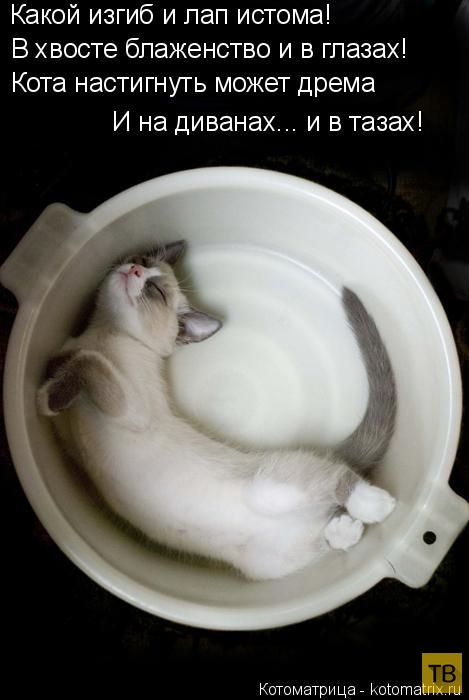 ������ ����������� ������, ����� 16 (50 ����)