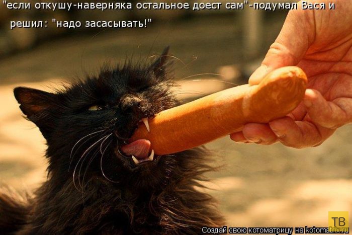 ������ ����������� ������, ����� 16 (50 ����)