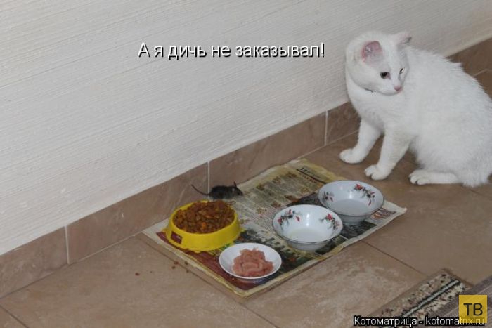 ������ ����������� ������, ����� 16 (50 ����)