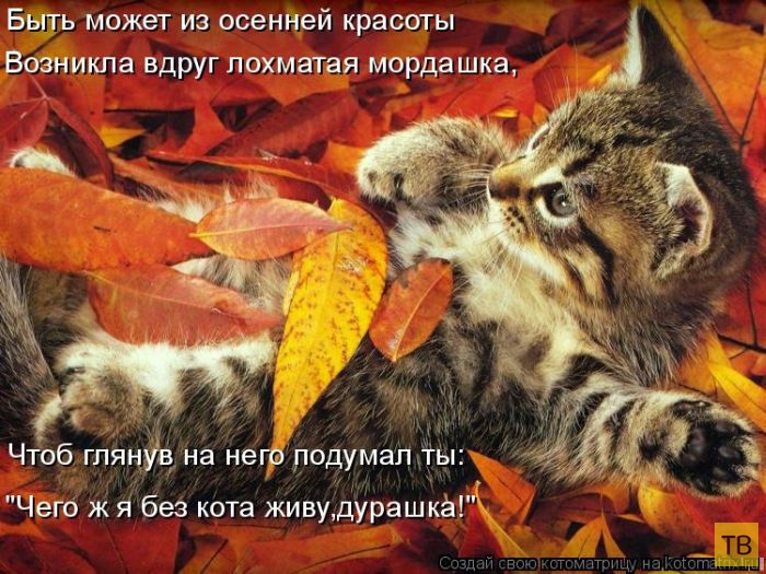 ������ ����������� ������, ����� 16 (50 ����)