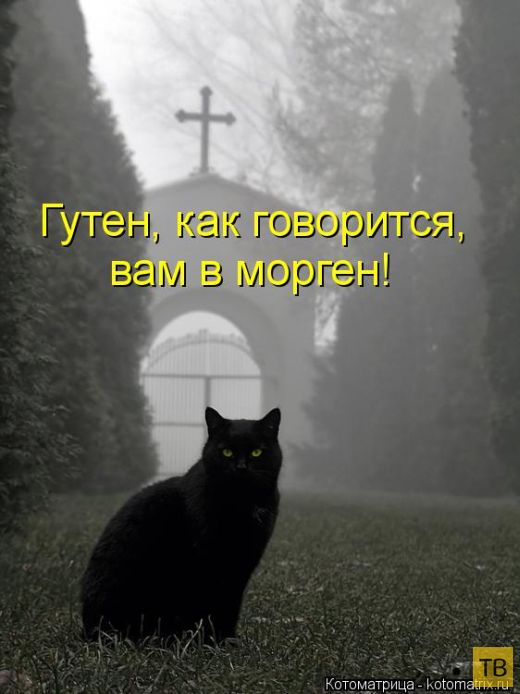 ������ ����������� ������, ����� 16 (50 ����)