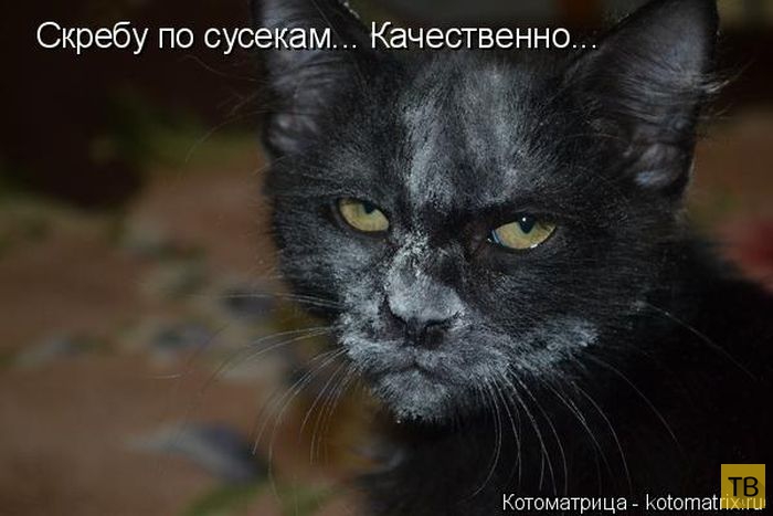 ������ ����������� ������, ����� 16 (50 ����)