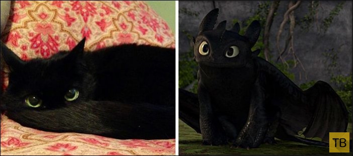 ����, ������� �� ������������� (25 ����)