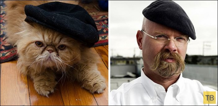 ����, ������� �� ������������� (25 ����)