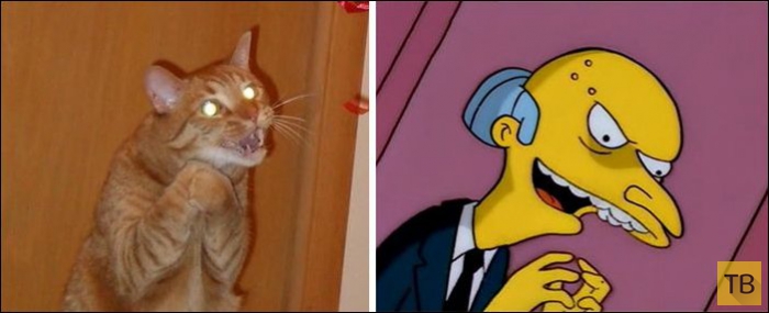 ����, ������� �� ������������� (25 ����)