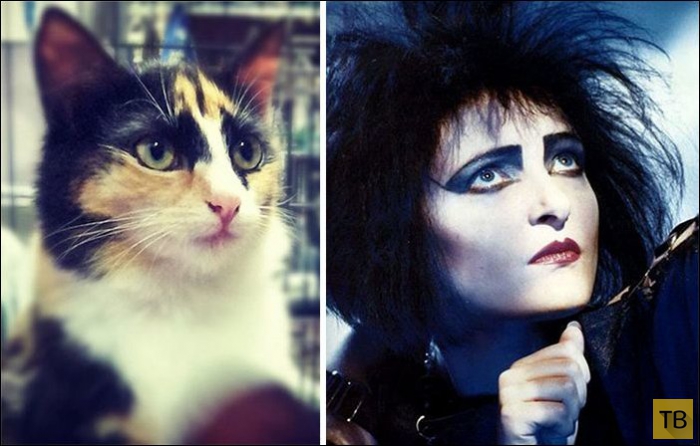 ����, ������� �� ������������� (25 ����)