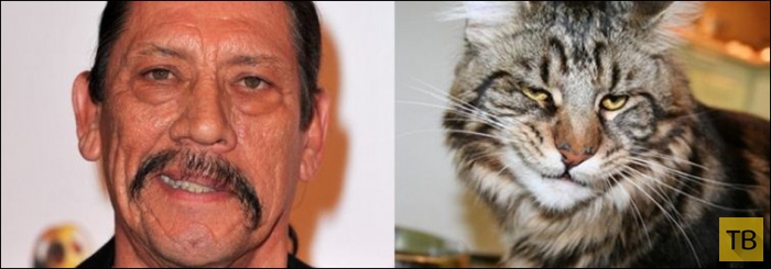 ����, ������� �� ������������� (25 ����)