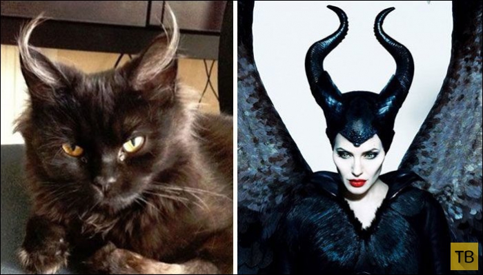 ����, ������� �� ������������� (25 ����)