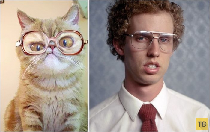 ����, ������� �� ������������� (25 ����)