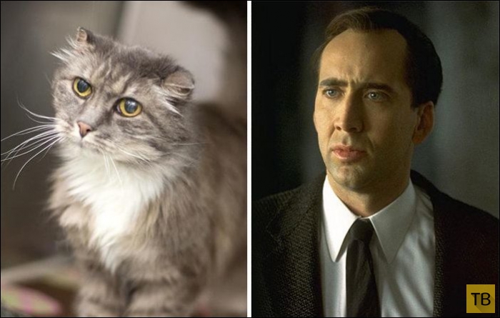 ����, ������� �� ������������� (25 ����)