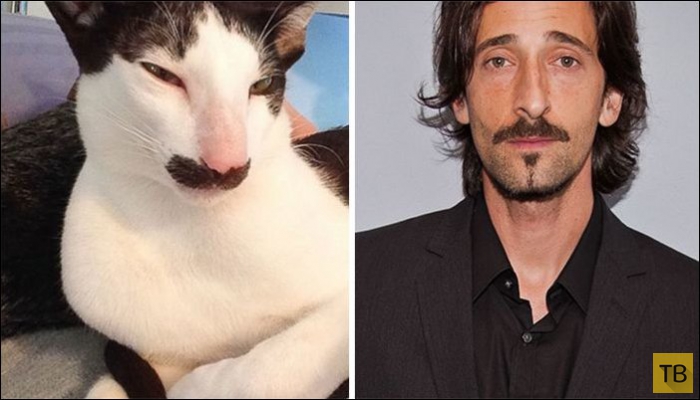 ����, ������� �� ������������� (25 ����)