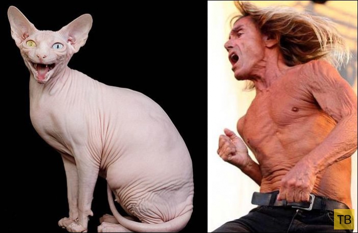 ����, ������� �� ������������� (25 ����)