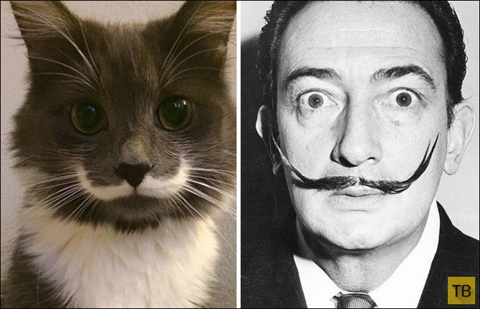 ����, ������� �� ������������� (25 ����)