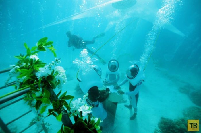 Подводная свадьба на Бора-Бора (8 фото)