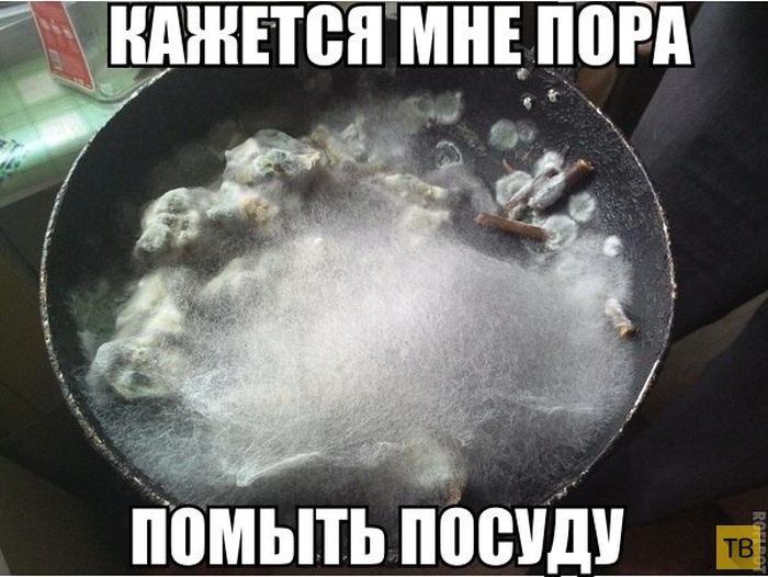 мойка посуды. мою посуду. надпись помой посуду. мытье посуды. протирание посуды.