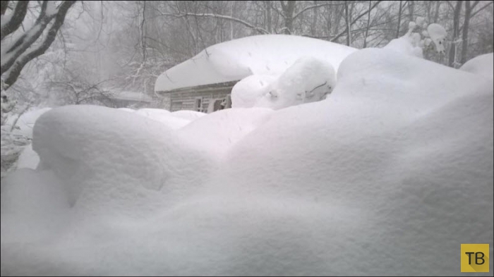 Сильнейший снегопад обрушился на штат Нью-Йорк (23 фото)