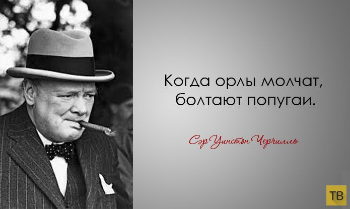 ������ �������� �������� (28 ����)