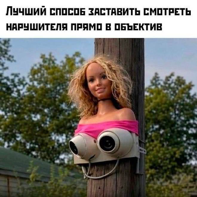 Мемы и картинки