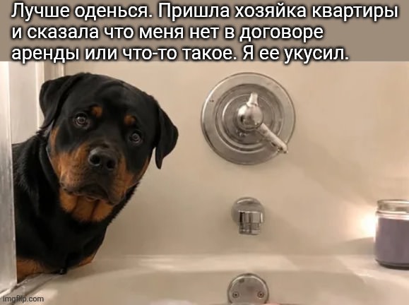 Мемы и картинки